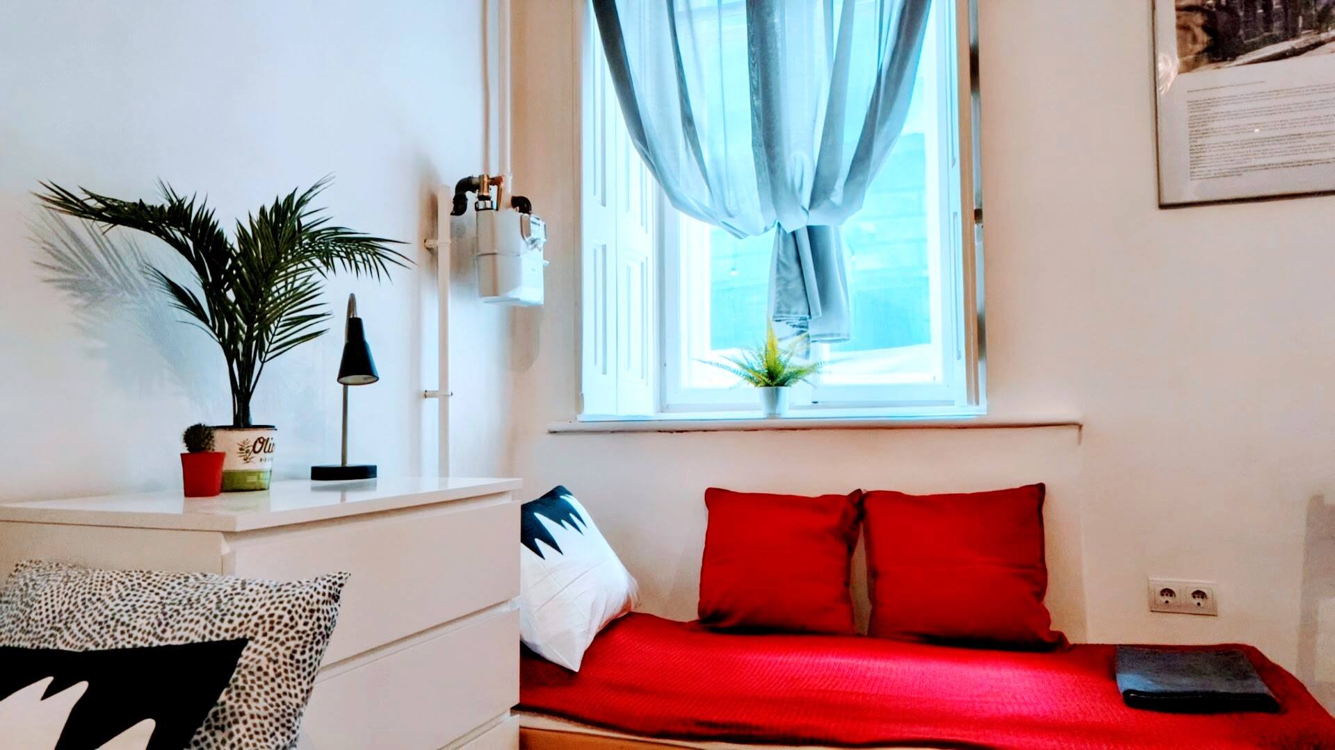 Gallery Image 6